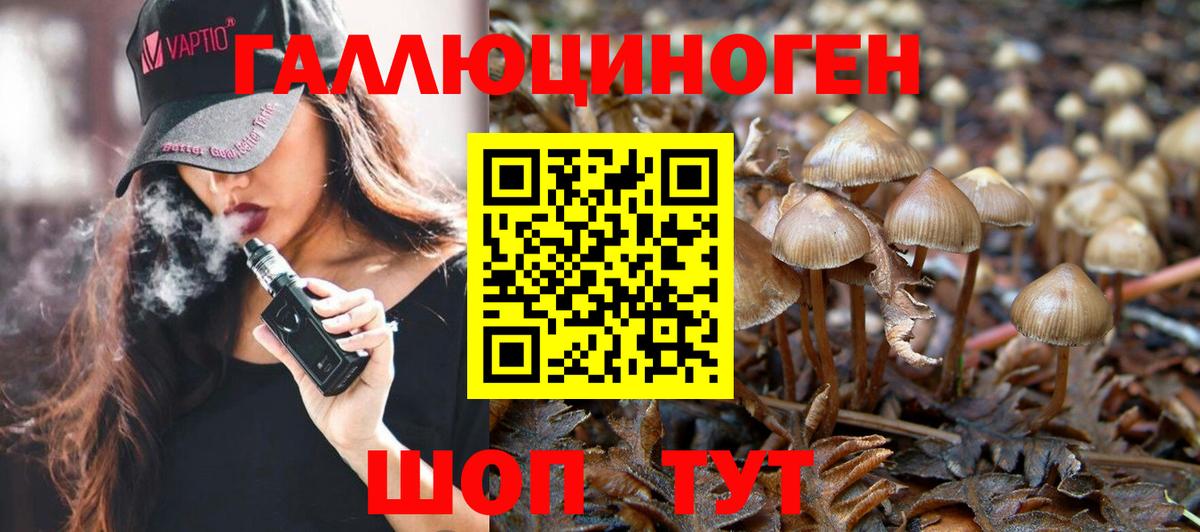 Павлово  Псилоцибиновые грибы Psilocybine cubensis  Вход с VPN 