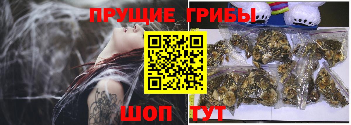 Галлюциногенные грибы Cubensis Павлово